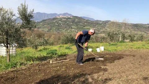 Farmer uses the rake in the field Video stock 151957569
