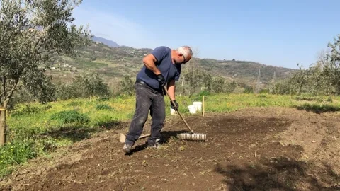 Farmer uses the rake to plow the field Stock-Footage 151957598