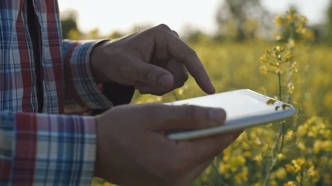 Farmer uses a tablet computer on a field Stock Footage 89766164