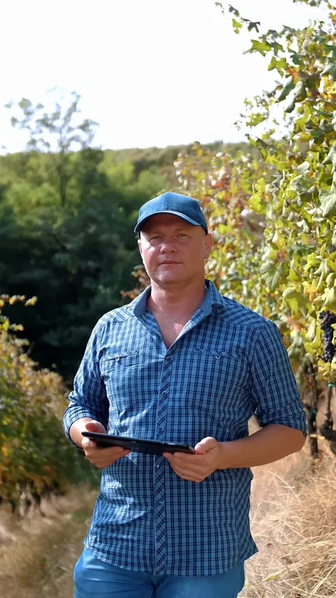 Farmer uses tablet near vineyard. Winegrower with a digital tablet in hands. Stock Footage 313867074
