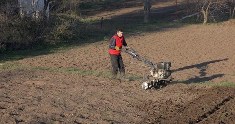 Farmer using and passing rototiller in agricultural field. Tilling a garden Video stock 127994114
