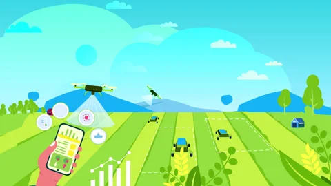 Farmer Using Automatic Irrigation Drone With Phone Stock Footage 315059557