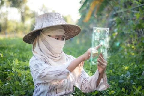 Farmer using clear tablet with HUD head up display interface for technology f Foto stock