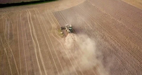Farmer using combine harvester to harvest crops Stock Footage 89831076