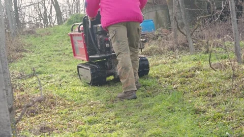 Farmer using crawler mini dumper to transport heavy machinery in the vine y.. 動画素材 244727084