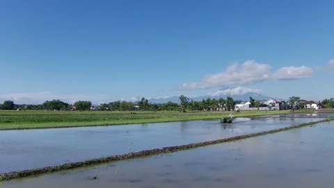 A Farmer Using Diesel Plow in A Rice Field Видео 226477672