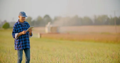 Farmer using digital tablet agriculture Stock Footage 111389918