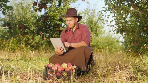 Farmer using digital tablet in apple garden. Stock Footage 97476032