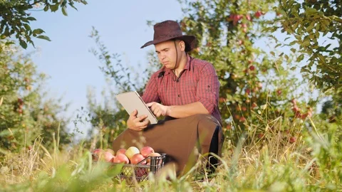 Farmer using digital tablet in apple garden. Stock Footage 97476348