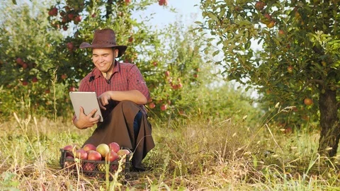 Farmer using digital tablet in apple garden. Video stock 97580768