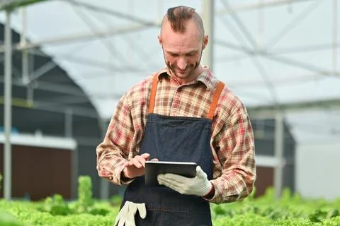 Farmer using digital tablet for checking organic vegetables quality in Stock Photos