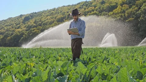 Farmer using digital tablet during monitoring his plantation Stock Footage 99838793