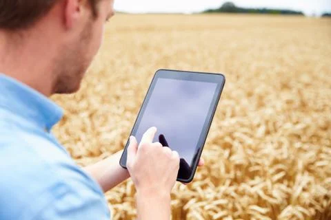 Farmer Using Digital Tablet In Field Of Wheat 스톡 사진