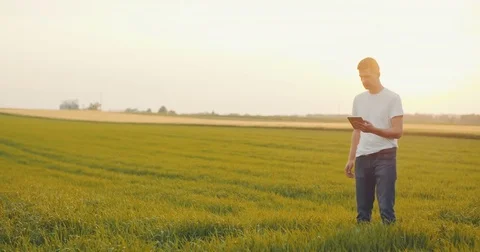 Farmer using digital tablet Stock Footage