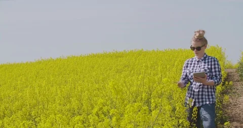 Farmer Using Digital Tablet Video stock 89898221