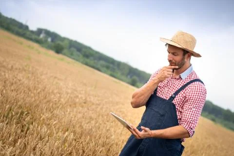 Farmer using digital tablet Stock Photos