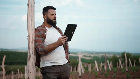 Farmer Using Digital Tablet in Vineyard, Smart Agriculture Management Stock Footage 327137627