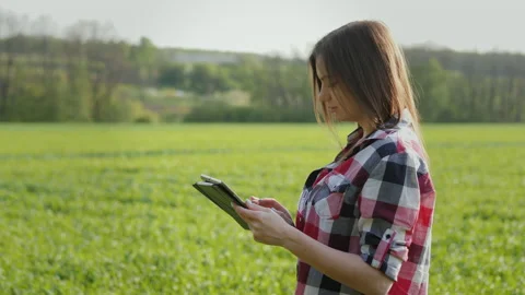 Farmer using digital tablet on wheat field. Checking plant growth progress Stock Footage 167704601