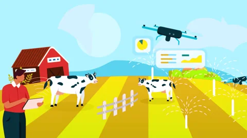 Farmer Using Drone for Farm 2 Stock Footage 315059666