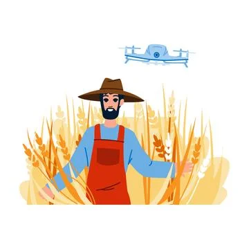 Farmer using drone technology for precision agriculture in wheat field Illustrazione stock