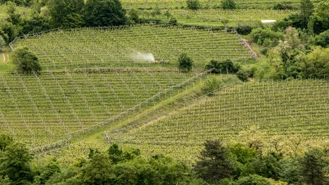 Farmer using fertilizer spreader Stock Footage 111560660