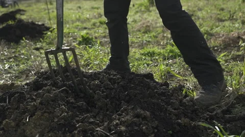 Farmer using a garden fork to turn compost Stock Footage 340546096