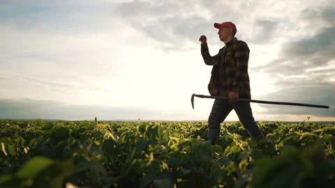 Farmer using hoe to cultivate soybean field. Man in plaid shirt and cap Stock-Footage 280833375