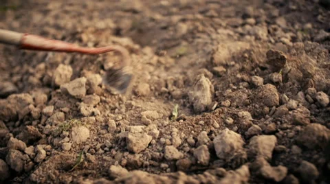 Farmer Using Hoe On Dirt At Farm Stock Footage 64476624
