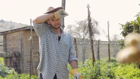 Farmer using a hoe tool in organic farm Stock Footage 110844472