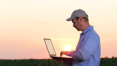 Farmer using laptop assesses progress of corn plant development against sunset Stock Photos