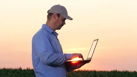 Farmer using laptop assesses progress of corn plant development against sunset Stockfoto's