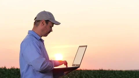 Farmer using laptop assesses progress of corn plant development against sunset Stock Photos