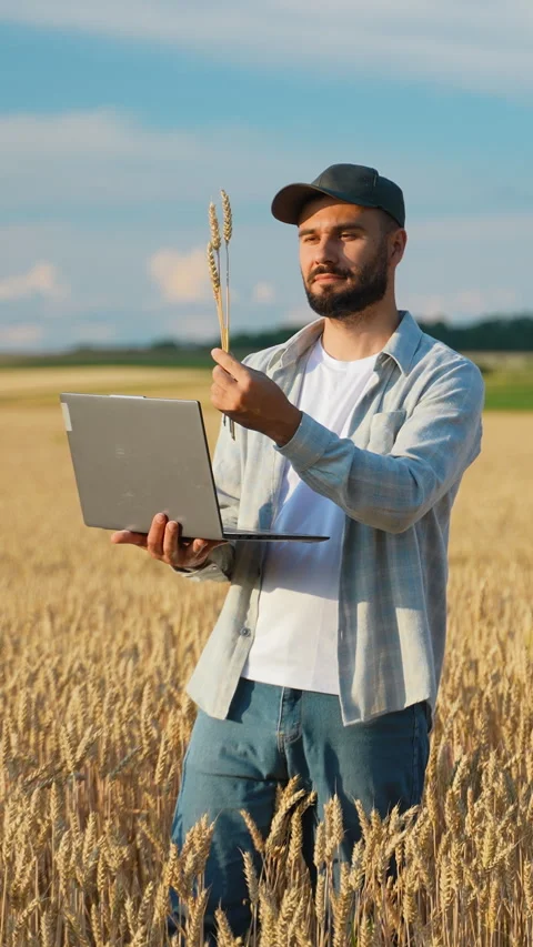 Farmer using laptop computer in golden wheat field Stock Footage 341627536