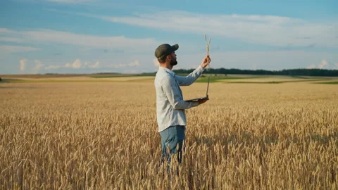 Farmer using laptop computer inspecting wheat field Stock Footage 341625027