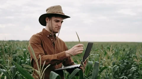 Farmer using laptop in cultivated field. Concept modern technology application Stock Footage 137699381