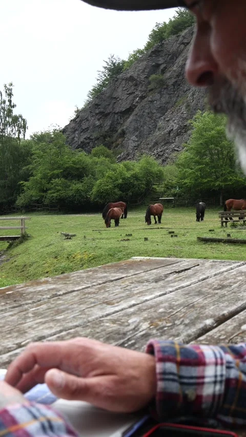 Farmer Using a laptop while watching the horses graze in the meadow. video .. Stock Footage 245417082