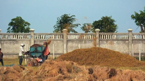 Farmer Using Machine to Shred Left Over Rice Plants for Compost Stock Footage 119414242