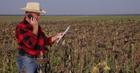 Farmer Using Mobile and Clipboard Talking Business Negotiate Sunflower Price 스톡 동영상 68434730