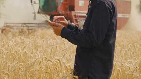 Farmer Using Mobile Device Near Combine Harvester in Farm Field Stock Footage 246474927