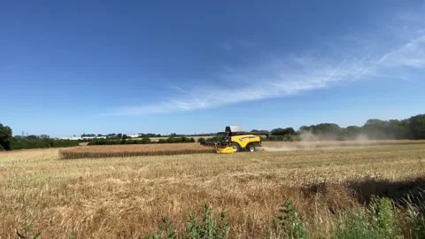 Farmer using a New Holland CX890 combine harvester to reap the fields. Stock Footage 338325898