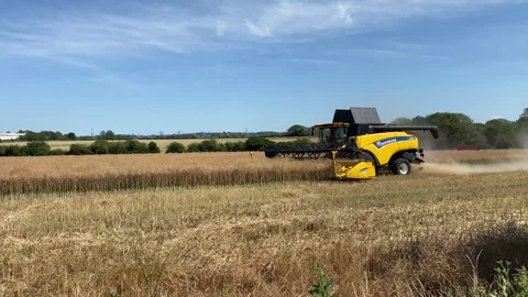 Farmer using a New Holland CX890 combine harvester to reap the fields. Stock Footage 338326099