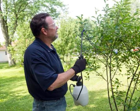 Farmer Using A Organic Spray 写真素材
