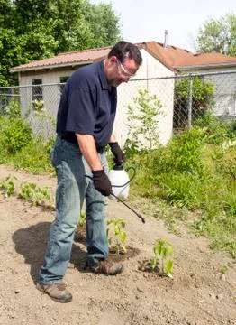 Farmer Using A Organic Spray Stock Photos