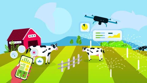 Farmer Using Phone Control Drone for Farm Stock Footage 315059704