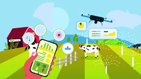 Farmer Using Phone Control Drone for Farm 2 Video stock 315063120