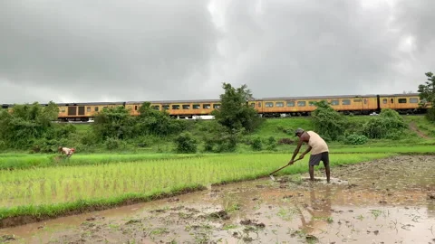 A farmer using pickaxe or hoe to dig up the watery land Stock-Footage 133551777