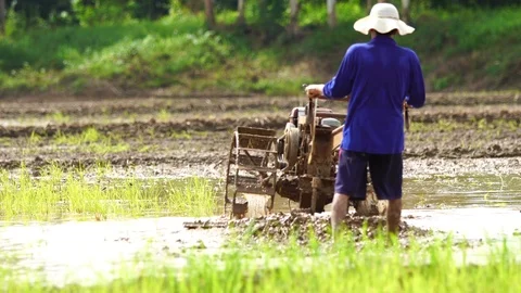 Farmer using small tractor Stock Footage 91622981