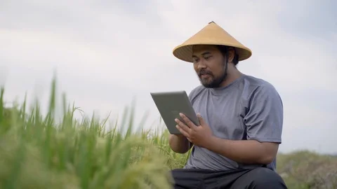 Farmer using smart technology gadget for agriculture Stock Footage 118974027