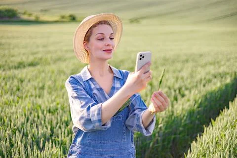 Farmer Using Smartphone in Field Stock Photos