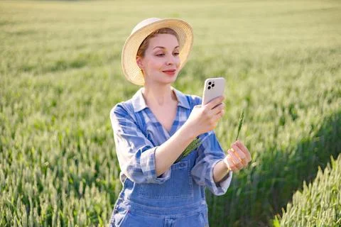 Farmer Using Smartphone in Field Stock Photos